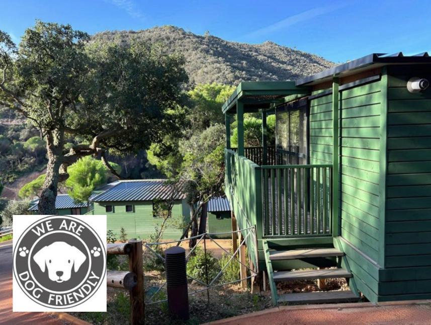 Camping Cala Pola 滨海托萨 外观 照片